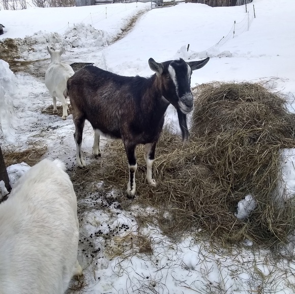 Meet your Posher, Christine - Picture 4 of 12